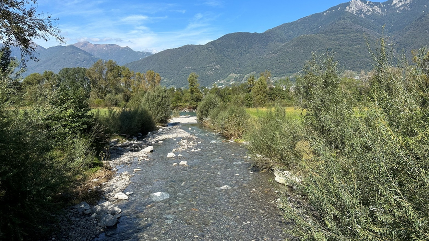 Il Trodo a Quartino, rinaturato