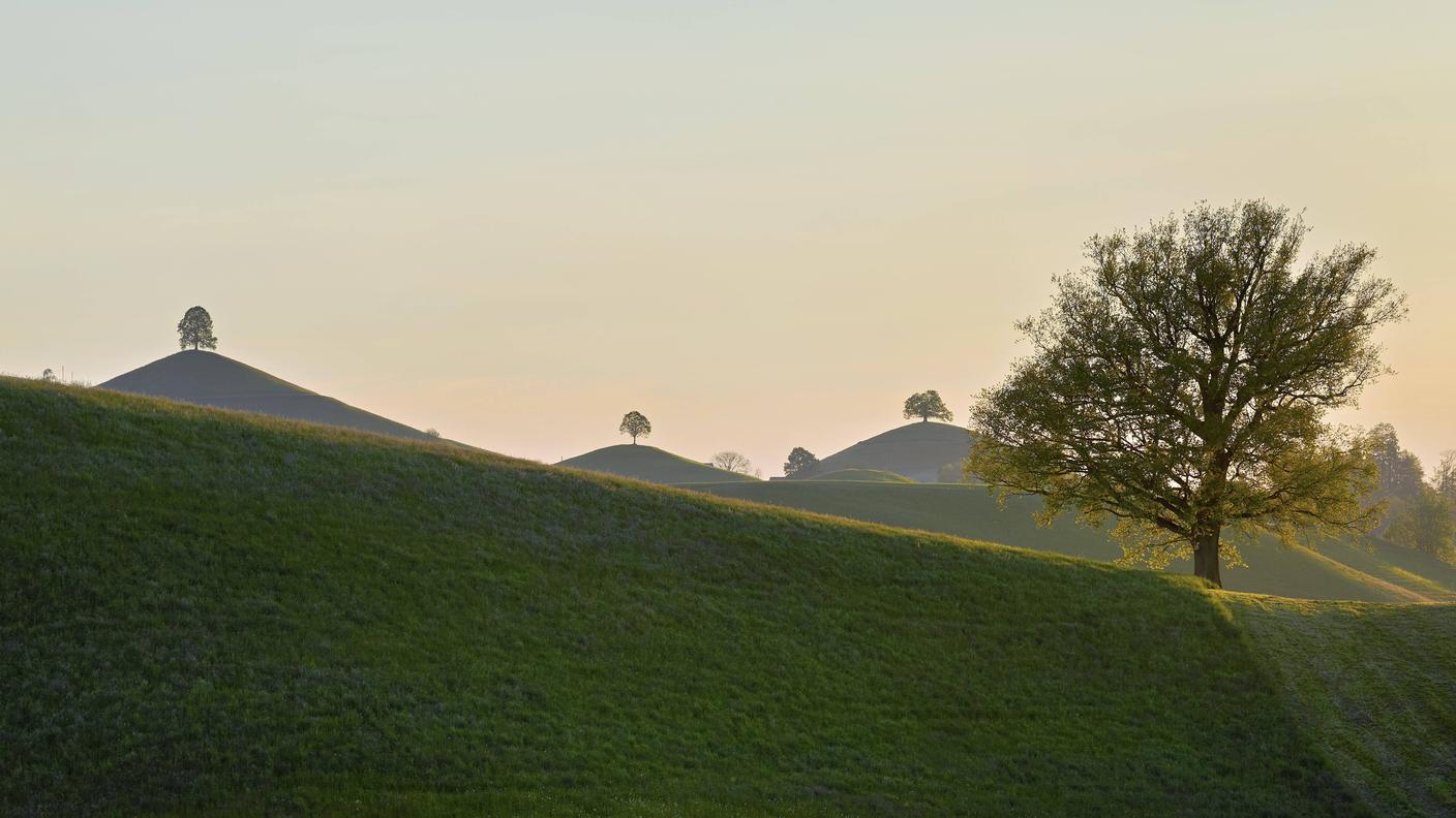 Ogni collina ha il suo tiglio (Cantone Zurigo)