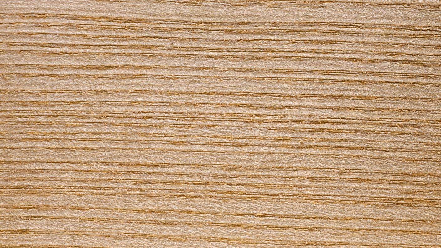La grana fine e il tipico colore chiaro del legno di frassino