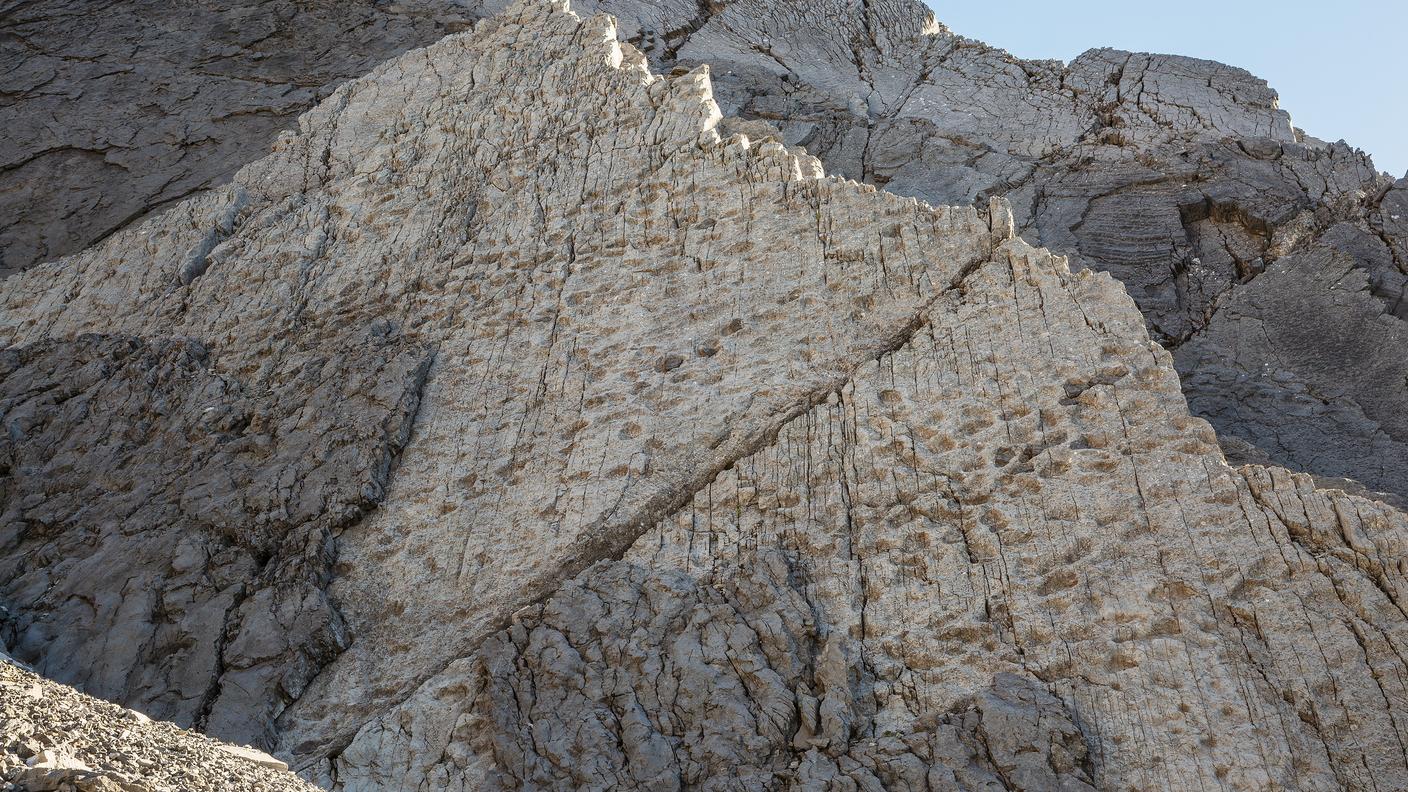 Orme di Prosauropodi risalenti al Triassico Superiore, fotografate nel nuovo sito paleontologico scoperto da Elio Della Ferrera.