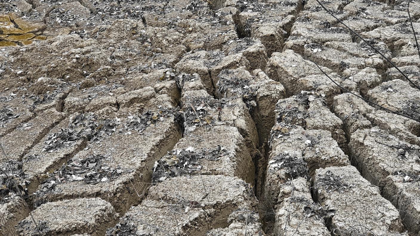 Stress idrico e alte temperature mettono a dura prova i suoli anche alle nostre latitudini