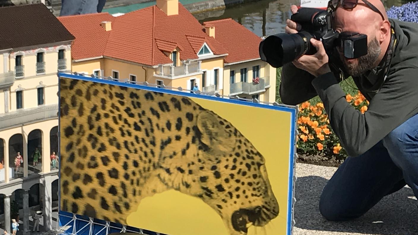 Si dice che i paparazzi possano essere ingormbranti, ma questo esagera!