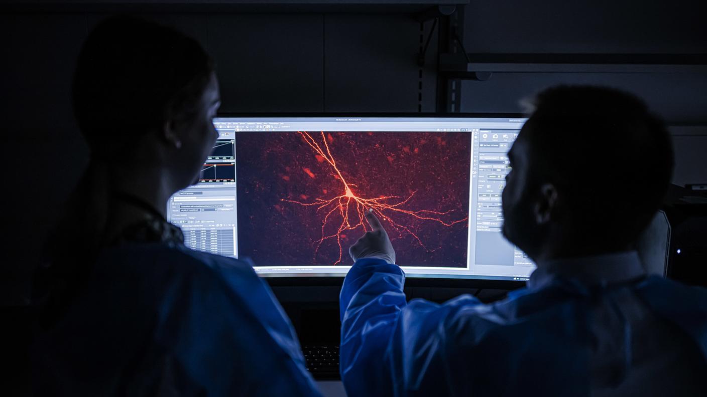 Sono possibili applicazioni contro Parkinson, Alzheimer, epilessia, depressione e altre malattie neurologiche e mentali