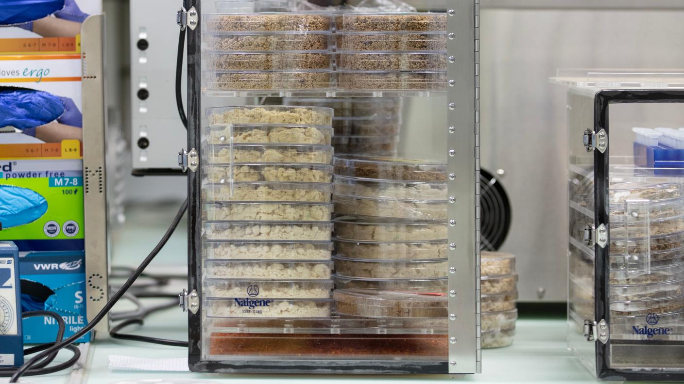 L'azienda vuole sviluppare il cioccolato del futuro