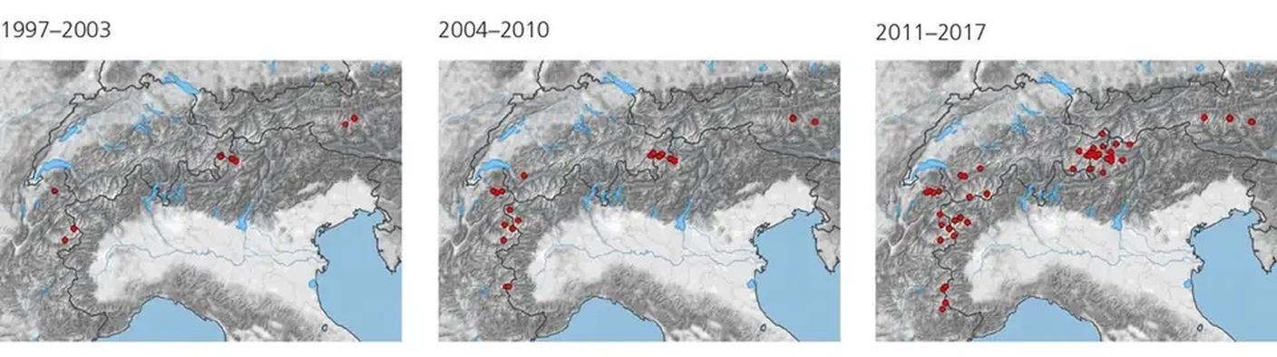 L'evoluzione dei siti di nidificazione negli anni