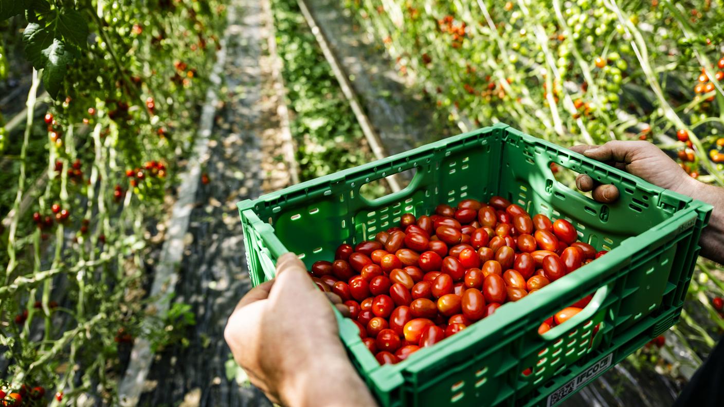 L'anno scorso è stata l'Italia ha pagare la fattura più salata legata ai dazi svizzeri