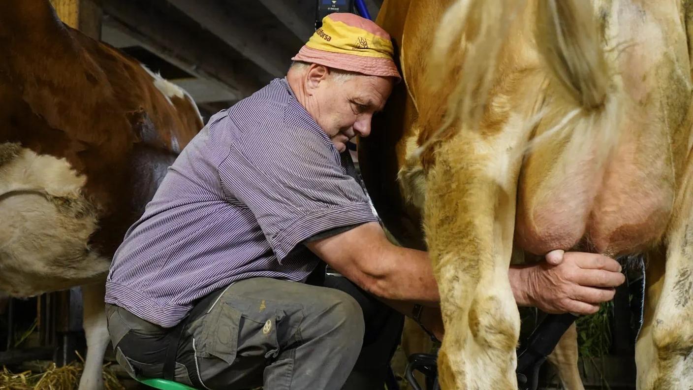 Heinz Kämpfer ha smesso di produrre latte per l'Emmentaler