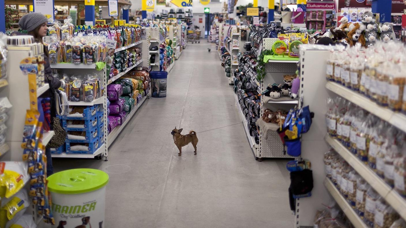 In Svizzera si spendono trai mille e i 3'000 franchi all'anno per un cane o un gatto