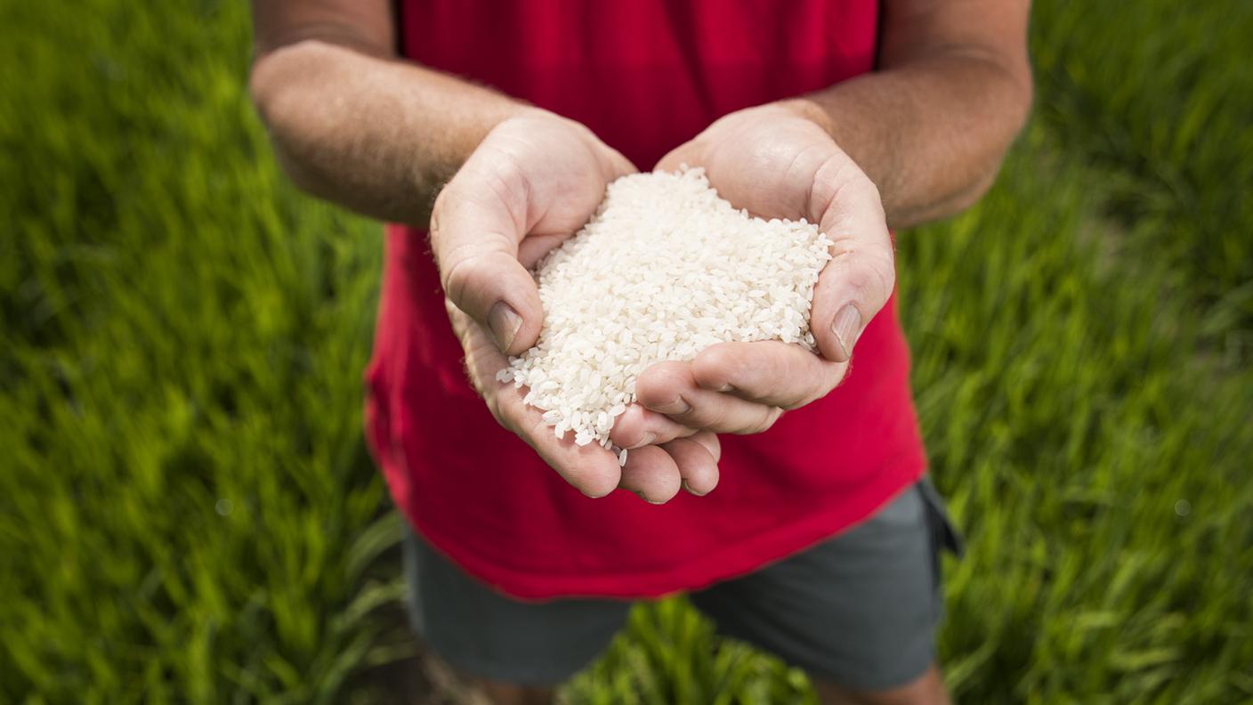 L'aumento delle temperature è dannoso per alcune colture ma benefico per altre
