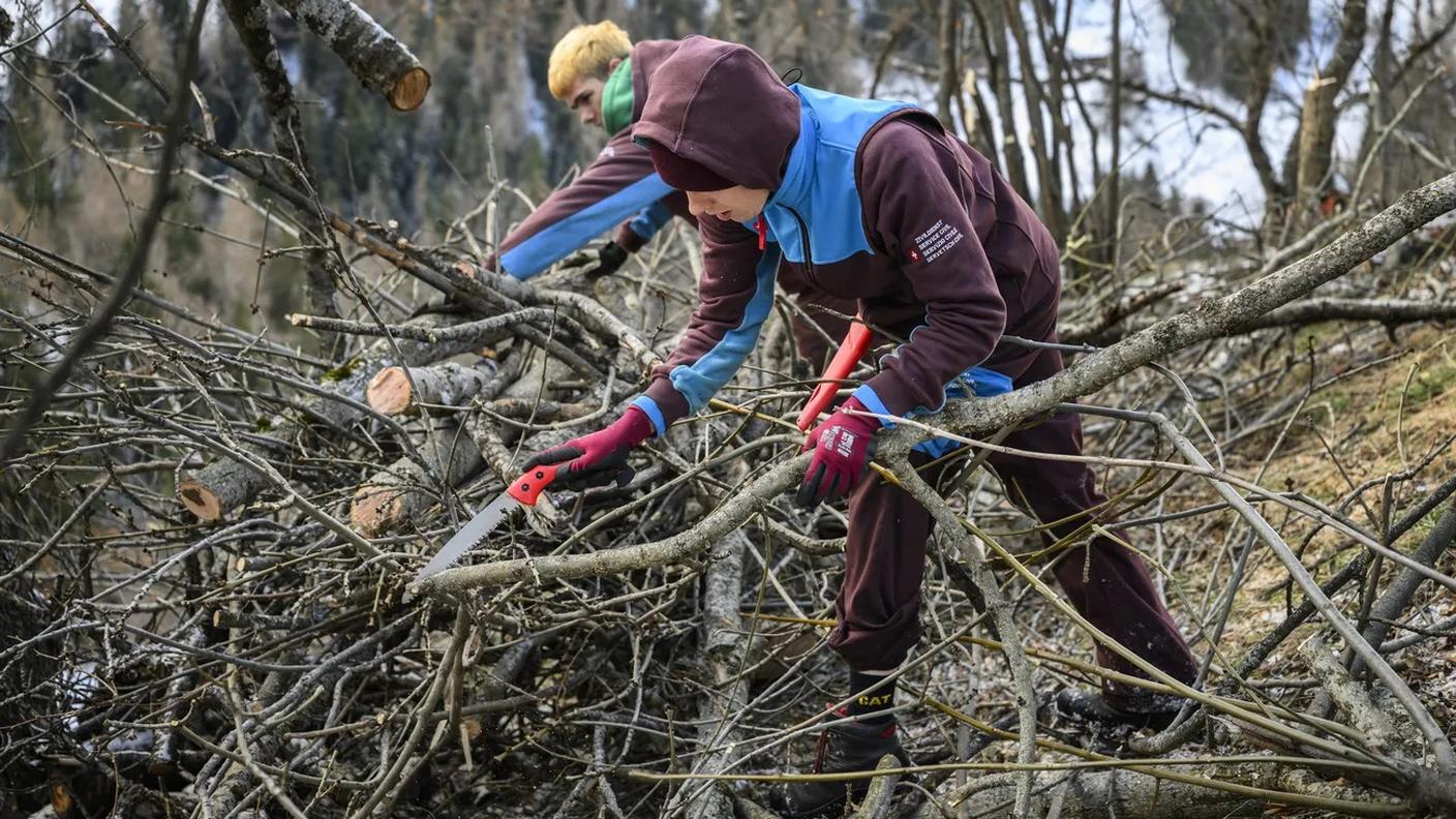 Il sistema elvetico si distingue, tra l'altro, per la grande varietà dei suoi incarichi, dai lavori forestali alla mediazione culturale nei musei