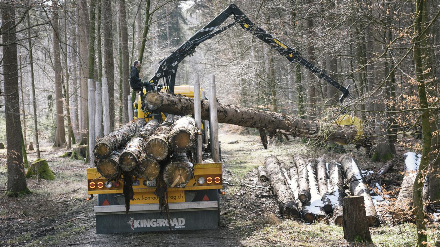 Il settore del legno, in controtendenza, è tra quelli che ha più sofferto
