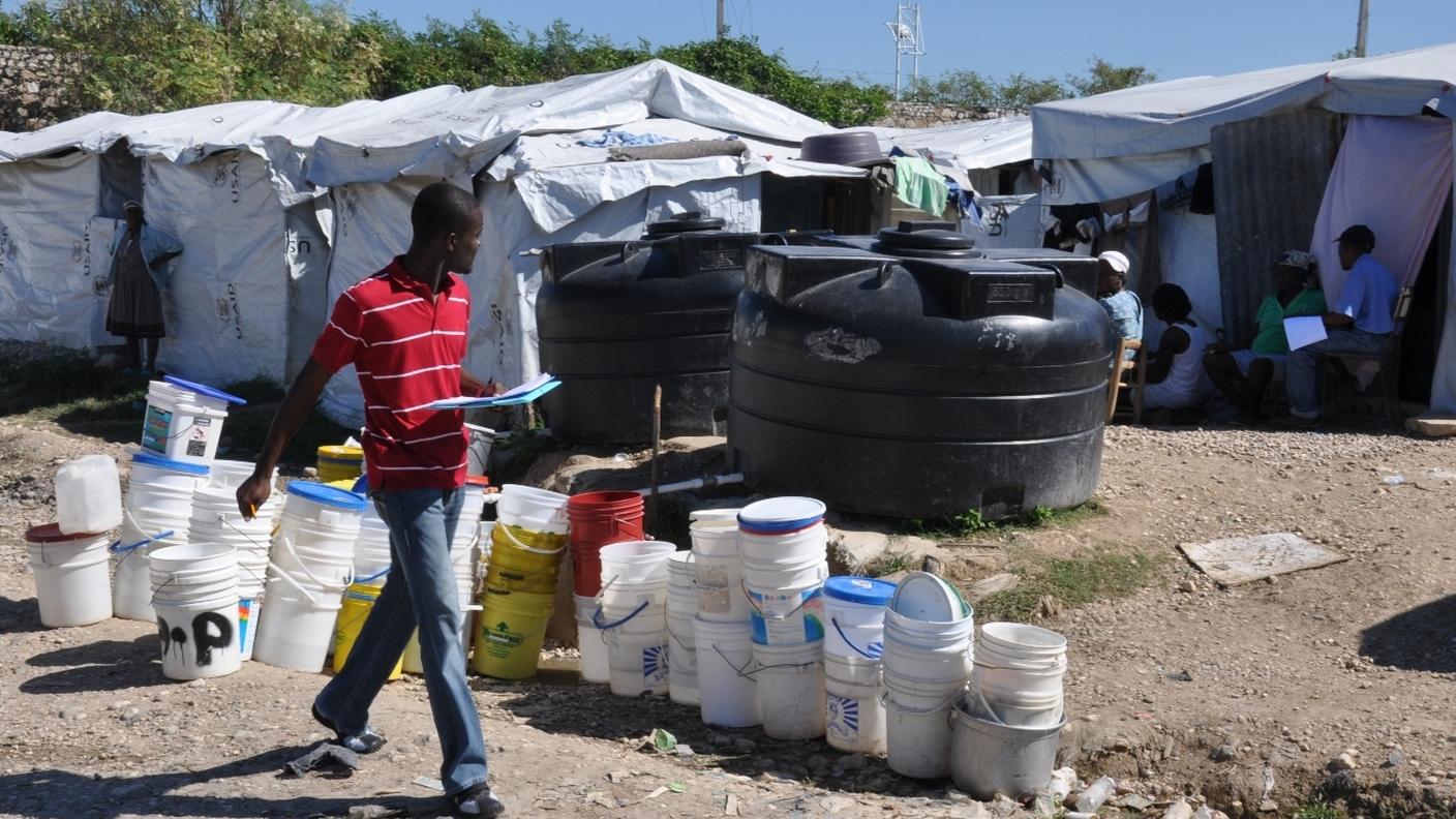 haiti bos in attesa dell'acqua.jpg