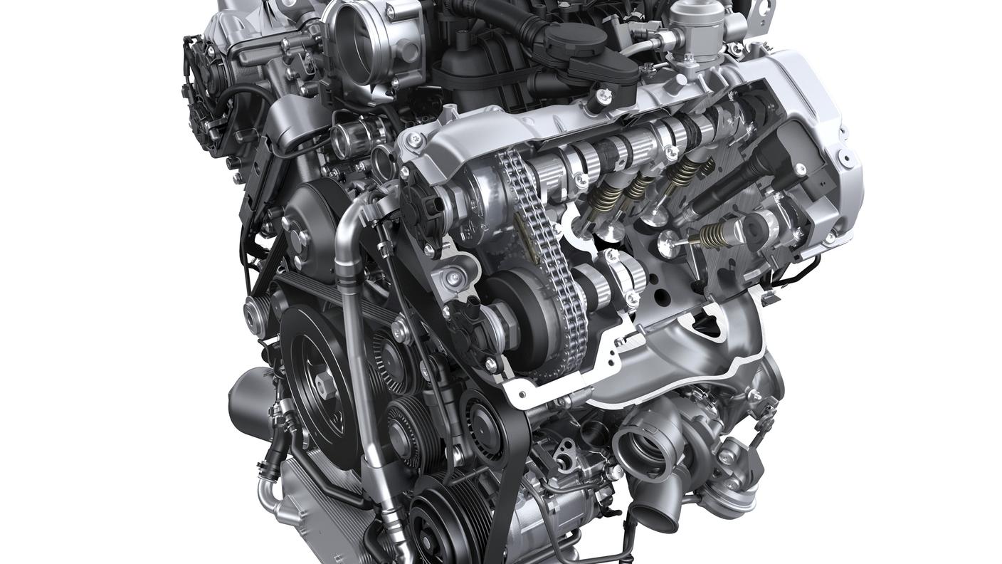 Macan 6.jpg