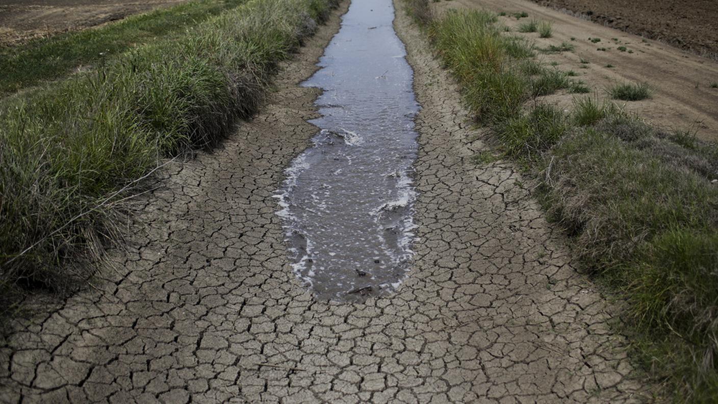 Gli agricoltori soffrono, e non sono i soli
