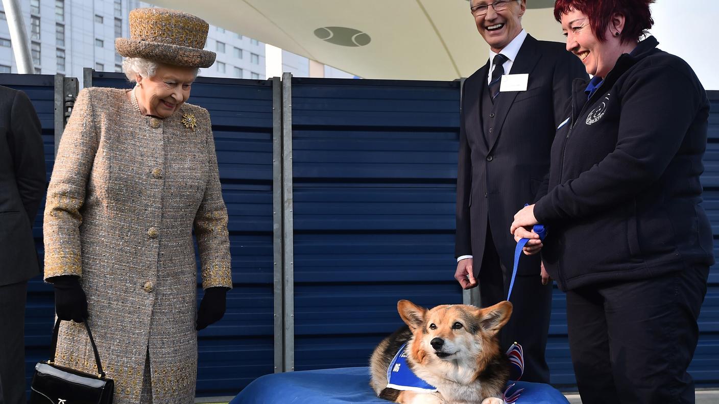 La Regina Elisabetta II con un corgi mentre visita un canile londinese