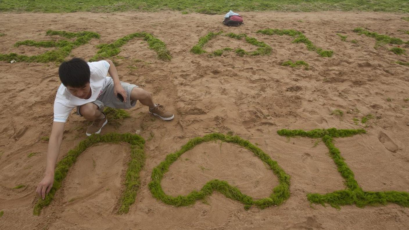 quingdao alghe 5. luglio 2013 ky.JPG