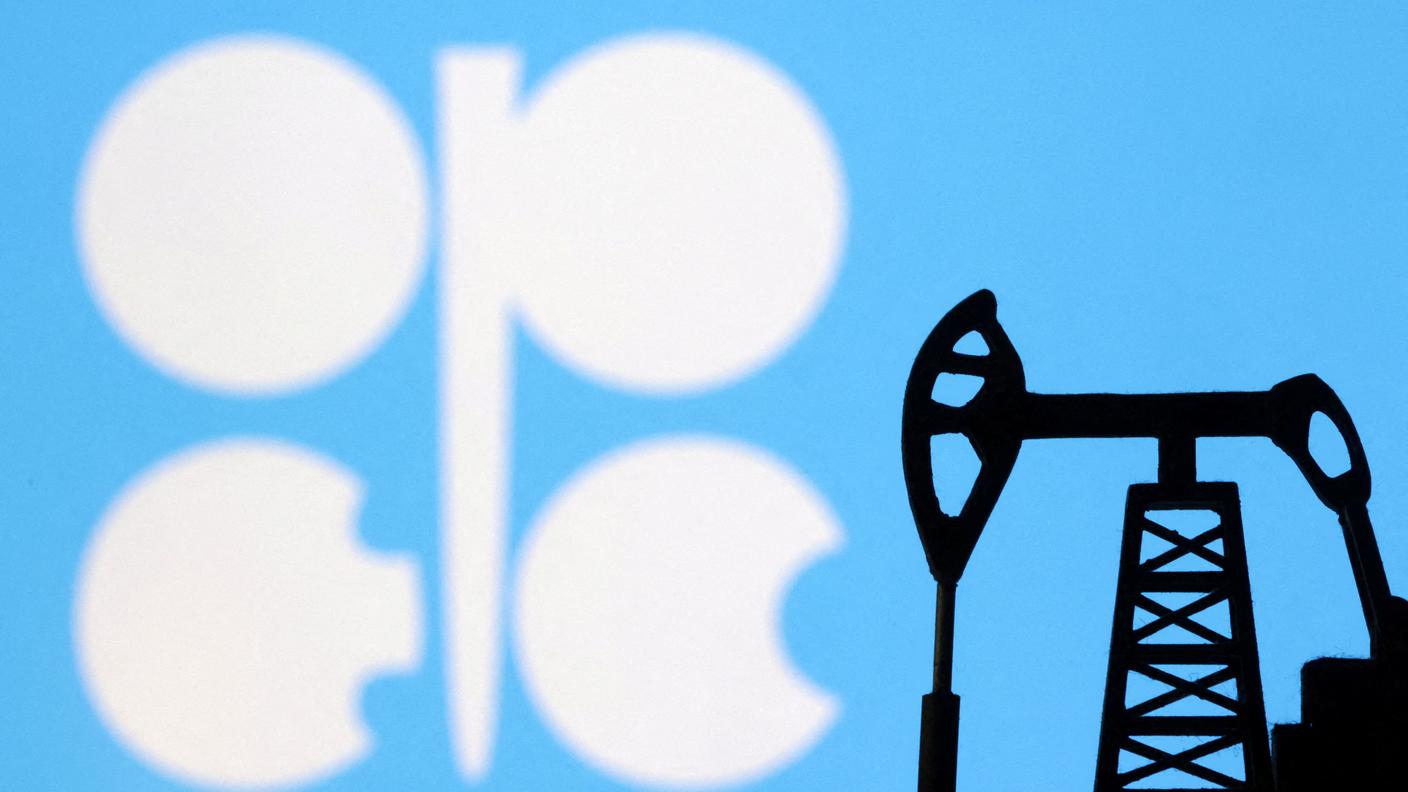 La posizione dell'OPEC, contenuta in una dichiarazione consultata dall'agenzia AFP, ha già suscitato le dure reazioni di Francia e Spagna