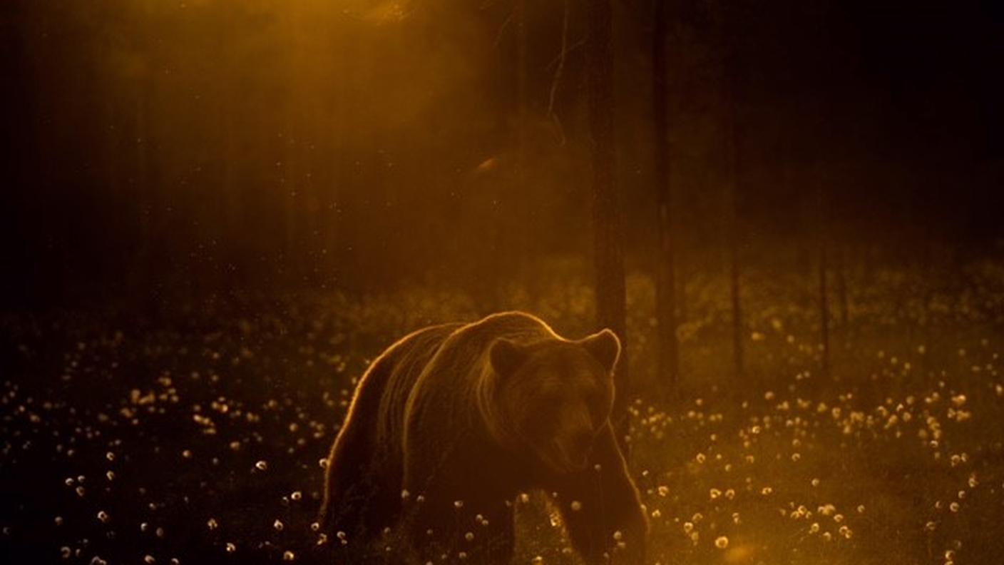 Alcuni scatti in diversi continenti 