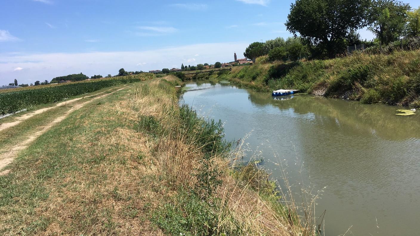 Un fossato pieno d'acqua utile per irrigare le colture non lontane dal Po