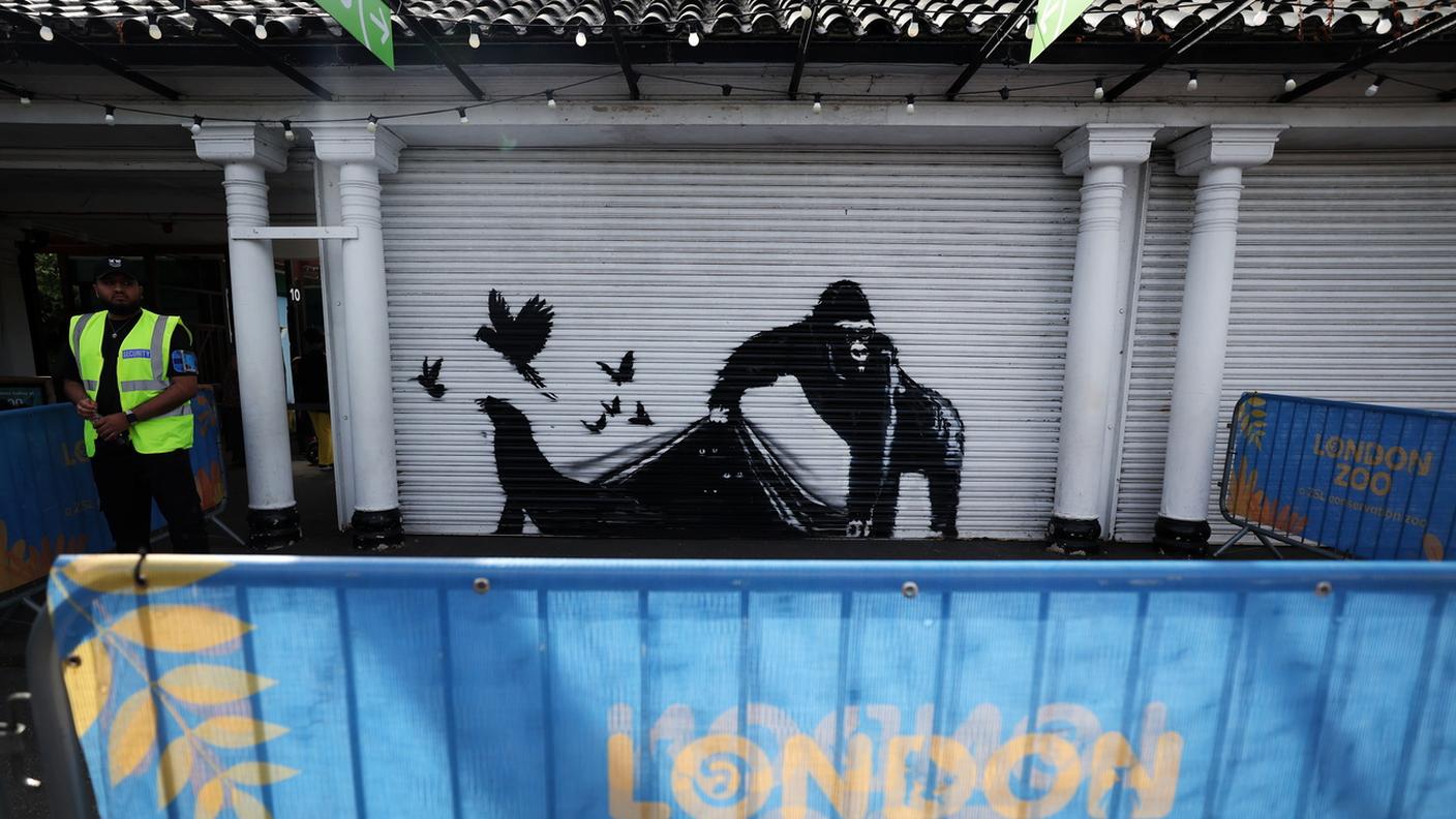 L'opera allo Zoo di Camden