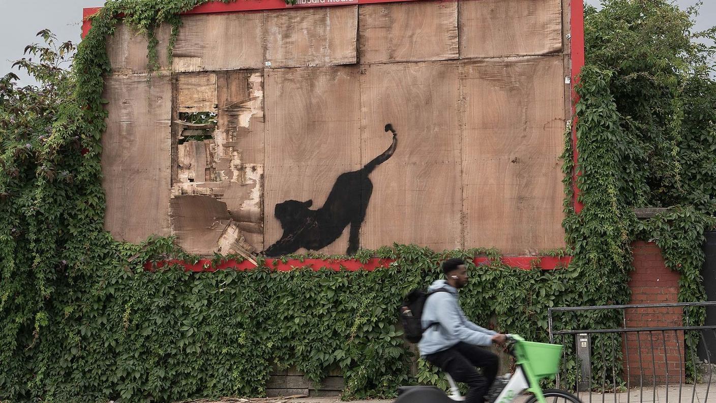 Il gatto nero che si stiracchia a Cricklewood