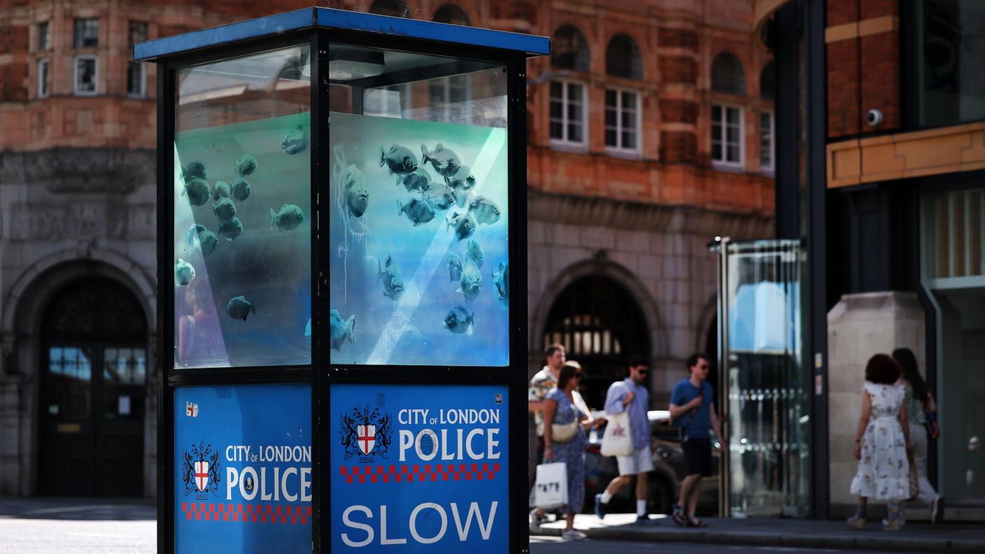 Il banco di pesci, probabilmente piranha, sulle pareti di una guardiola della polizia a Ludgate Hill