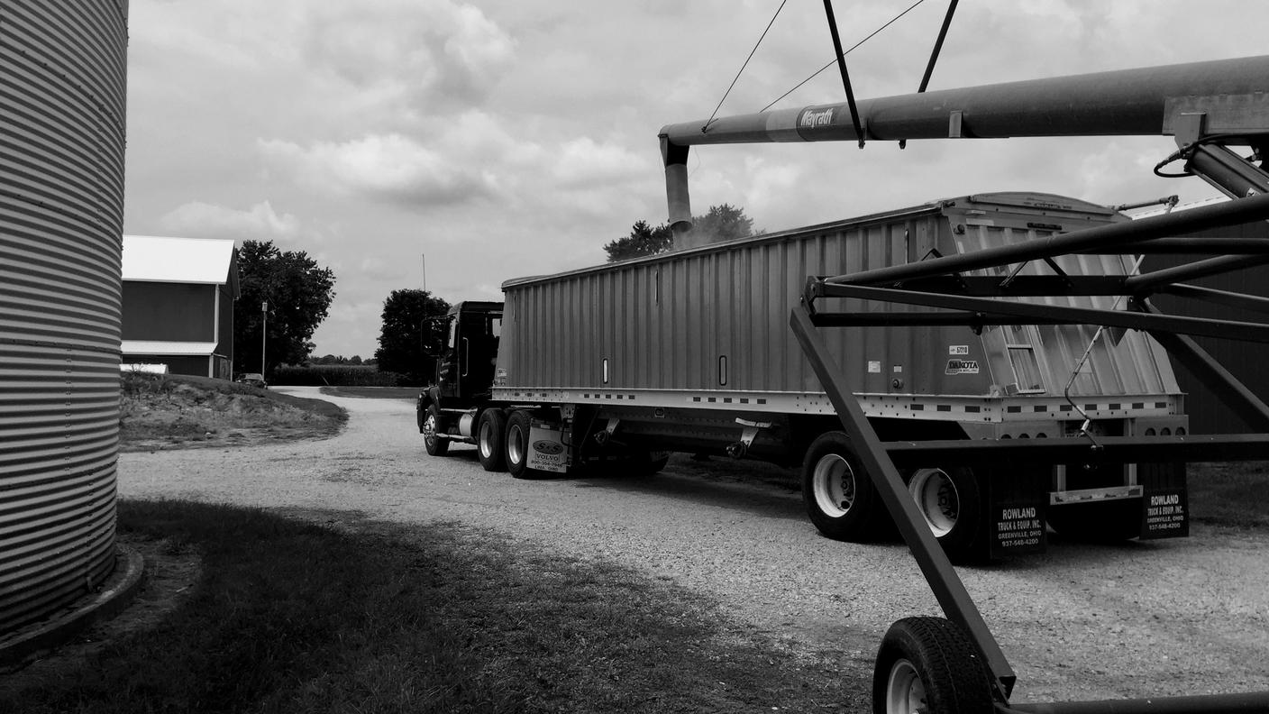Midwest, il granaio d’America: qui, gli agricoltori pagano le conseguenze dei dazi di Trump