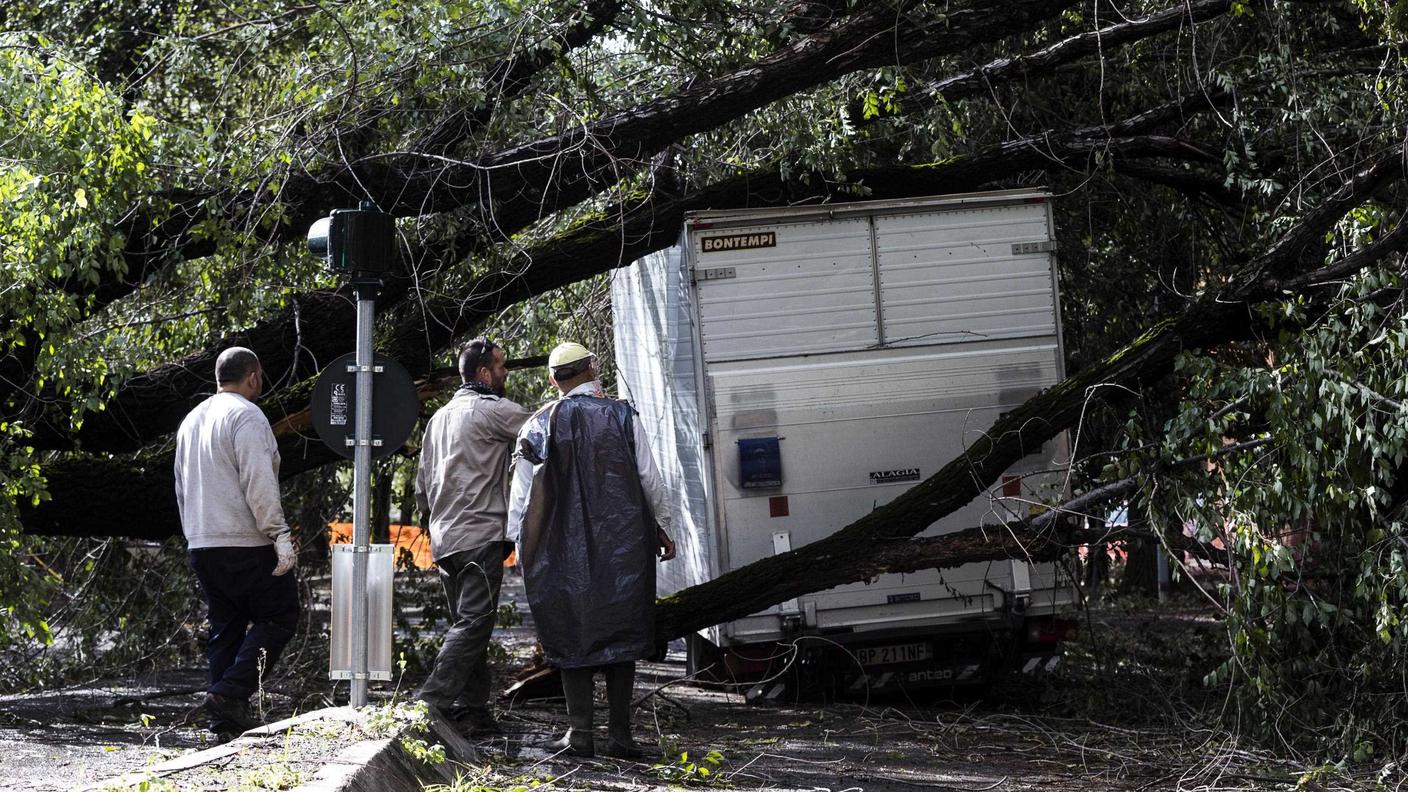 Decine di alberi sono caduti a Roma martedì, provocando gravi danni