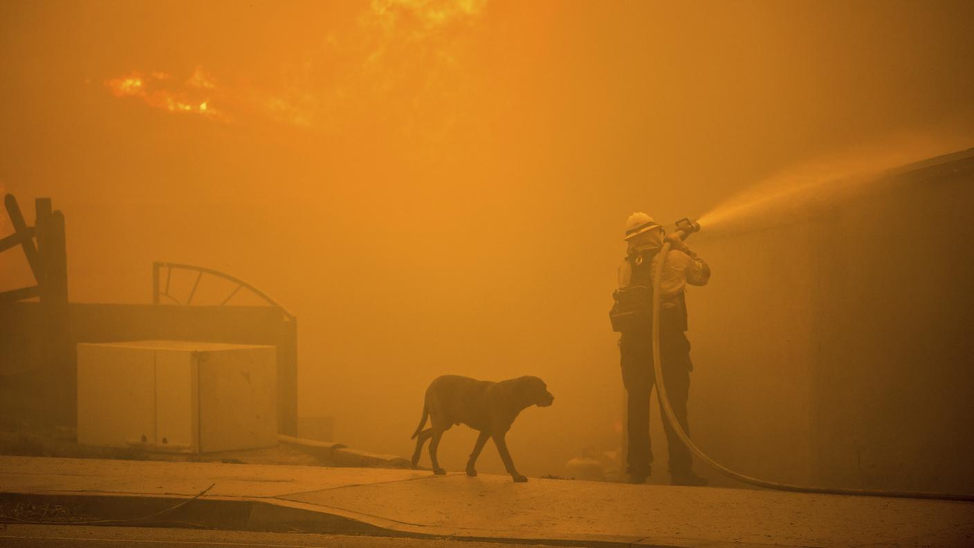 Un cane cammina vicino a un pompiere impegnato nello spegnimento di uno dei tanti roghi di Altadena