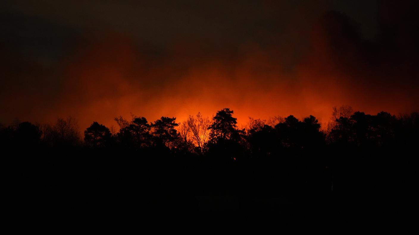 In fiamme oltre 3'000 ettari di foresta
