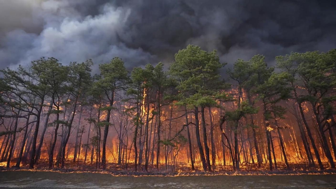 Le fiamme hanno interessato oltre 6'000 ettari di territorio