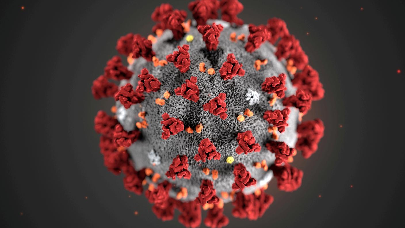 La morfologia ultrastrutturale del coronavirus