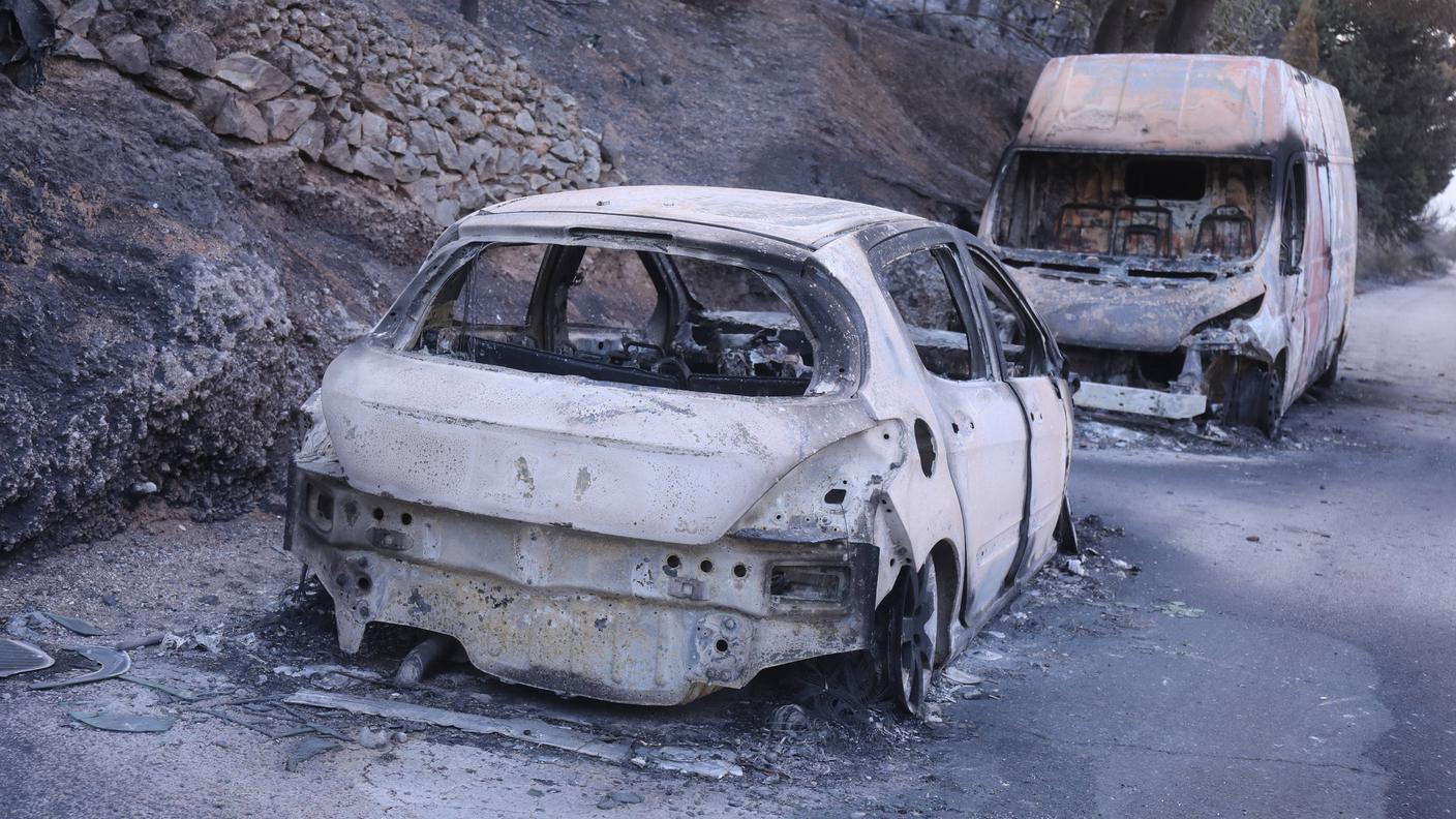 Dopo gli incendi