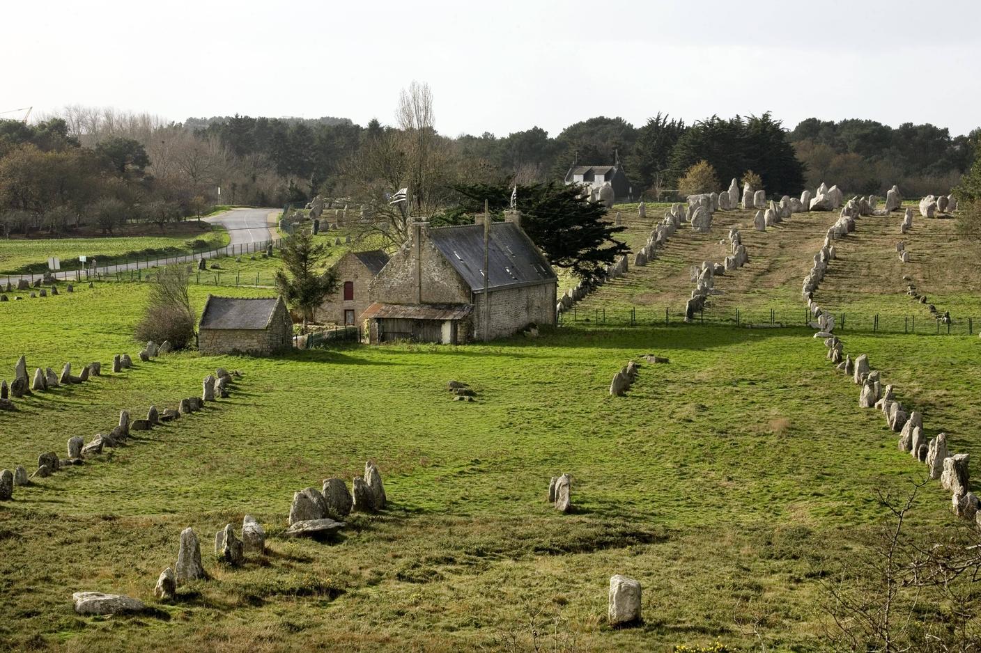Uno dei molteplici allineamenti di menhir a Carnac, in Bretagna