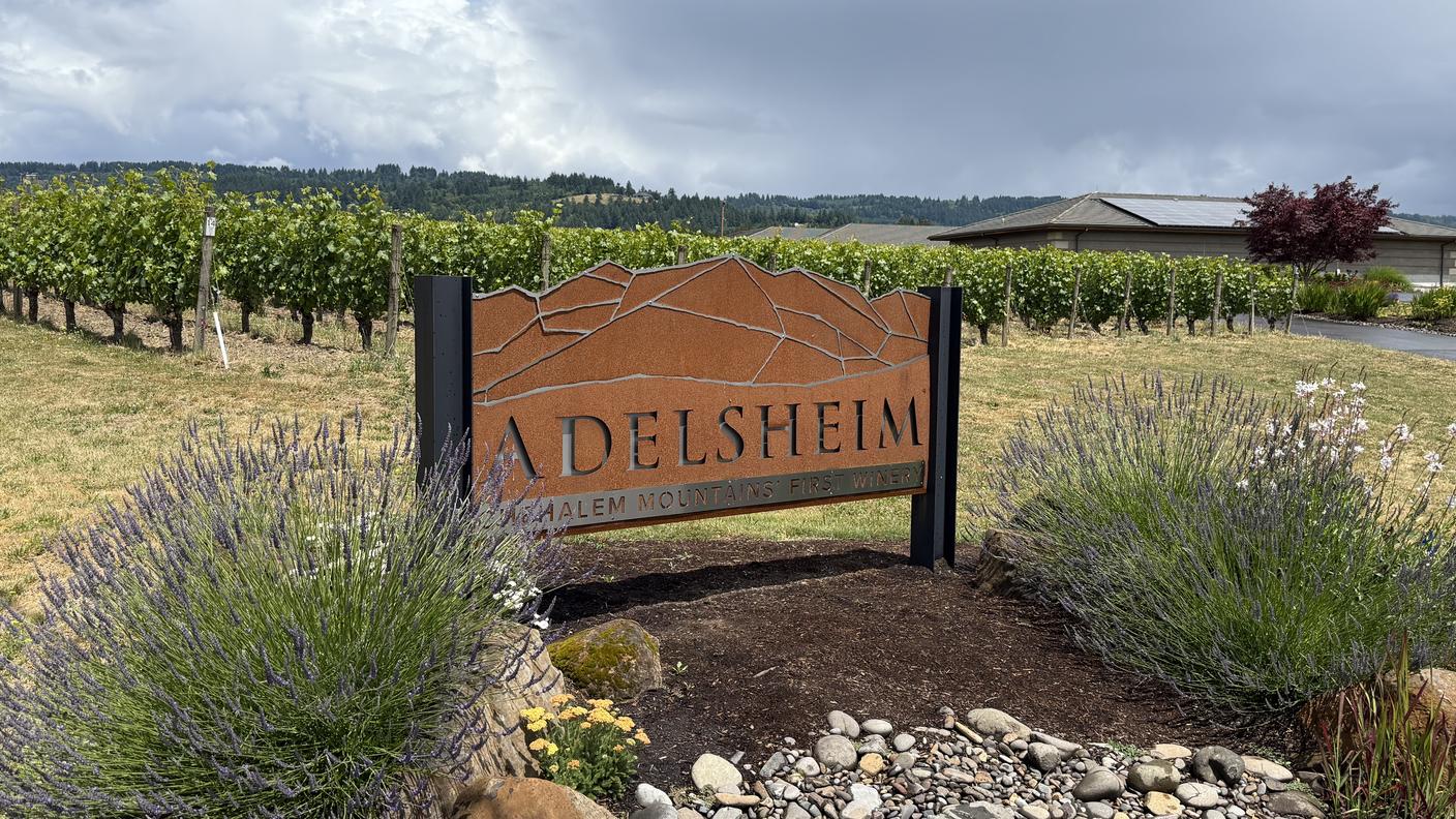 La cantina Adelsheim
