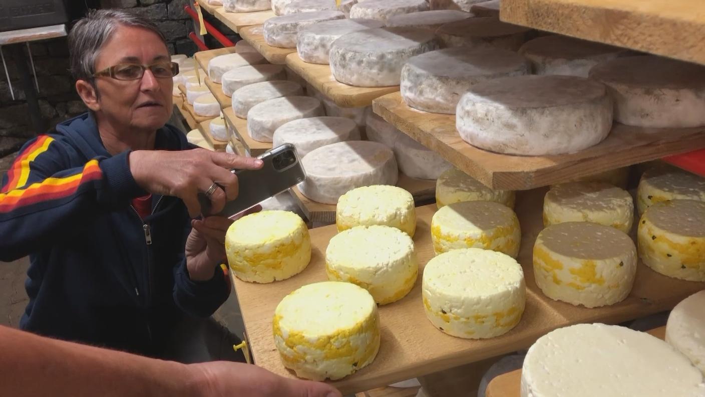 Caroline Hostettler, specializzata nell’importazione di formaggi d’alpeggio