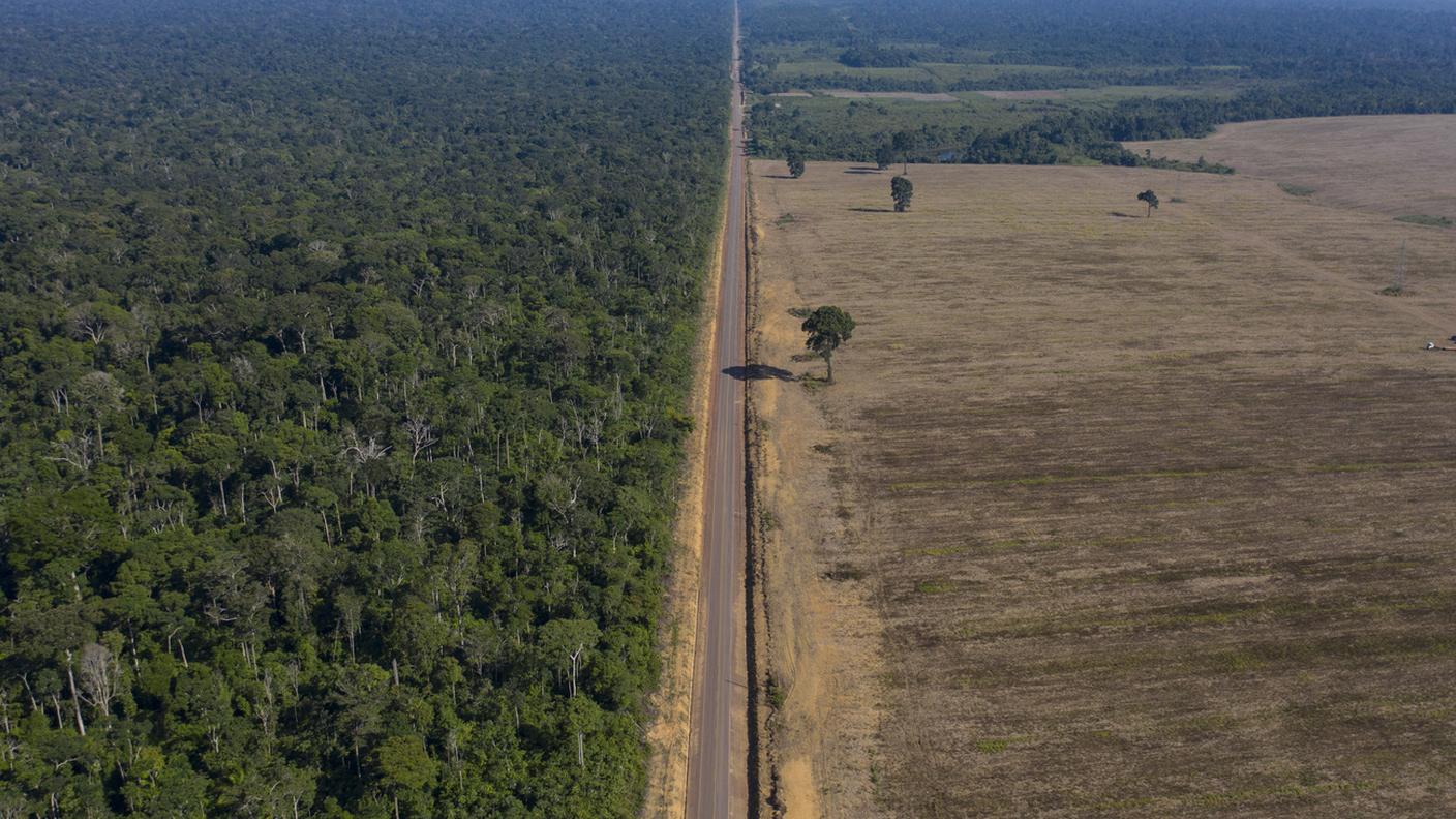 Fanno spazio ad agricoltura o allevamento