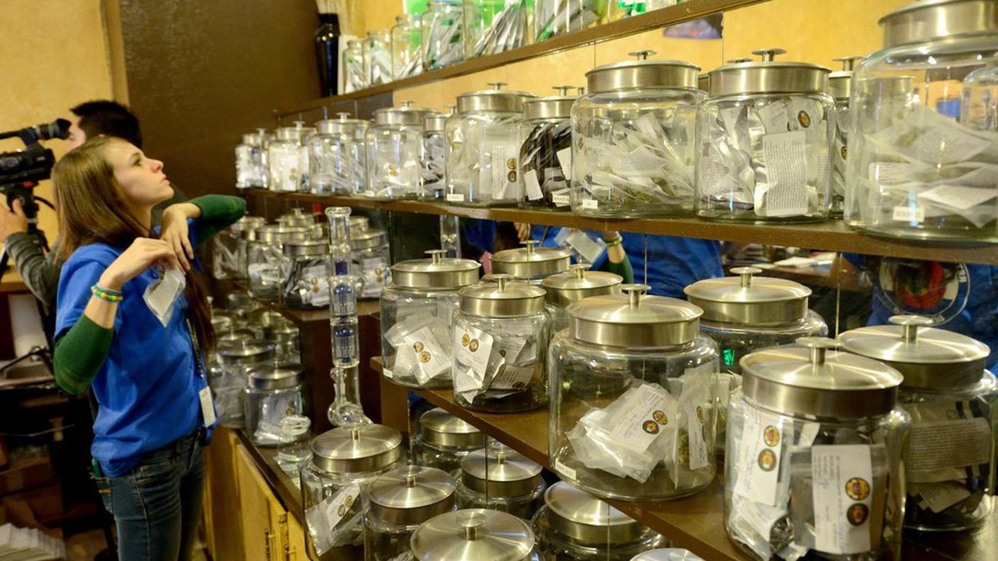 marijuana5,ky.JPG