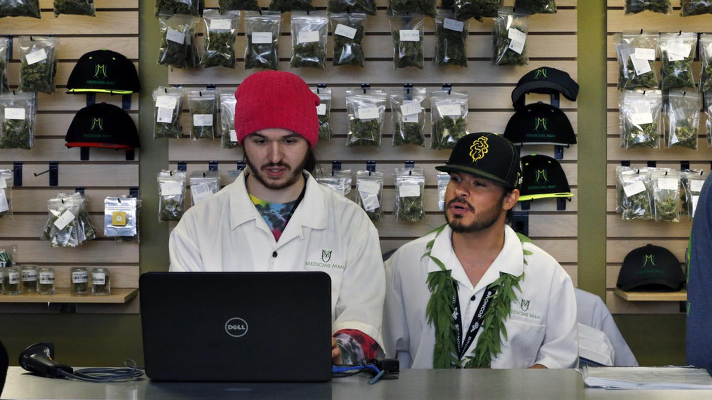marijuana3,ky.JPG