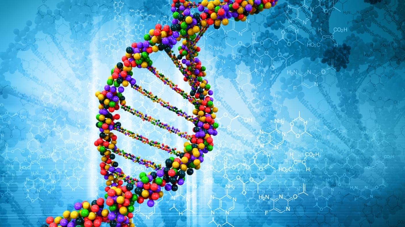 Una rappresentazione del DNA umano