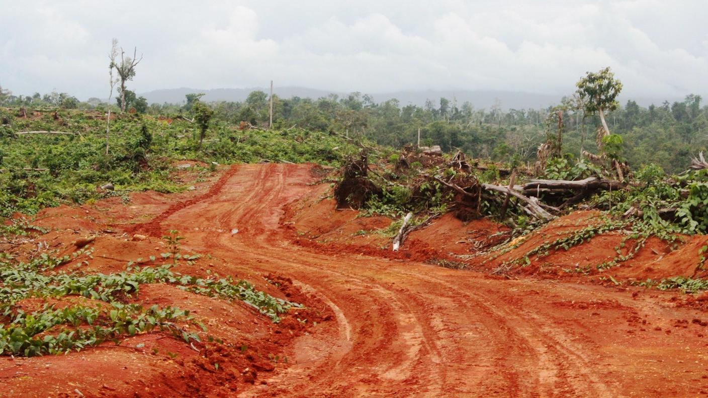 La Colombia risulta essere il Paese più pericoloso dal punto di vista della difesa ambientale