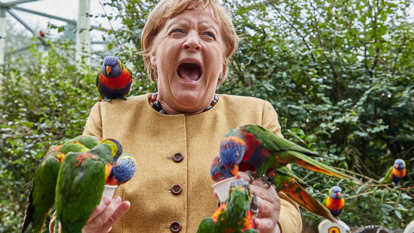 Angela Merkel al Vogelpark di Marlow