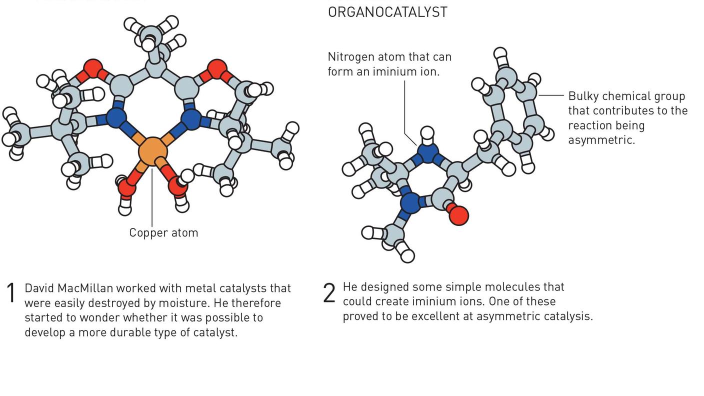 Una scoperta che ha reso la chimica "più verde", secondo il Comitato del Nobel