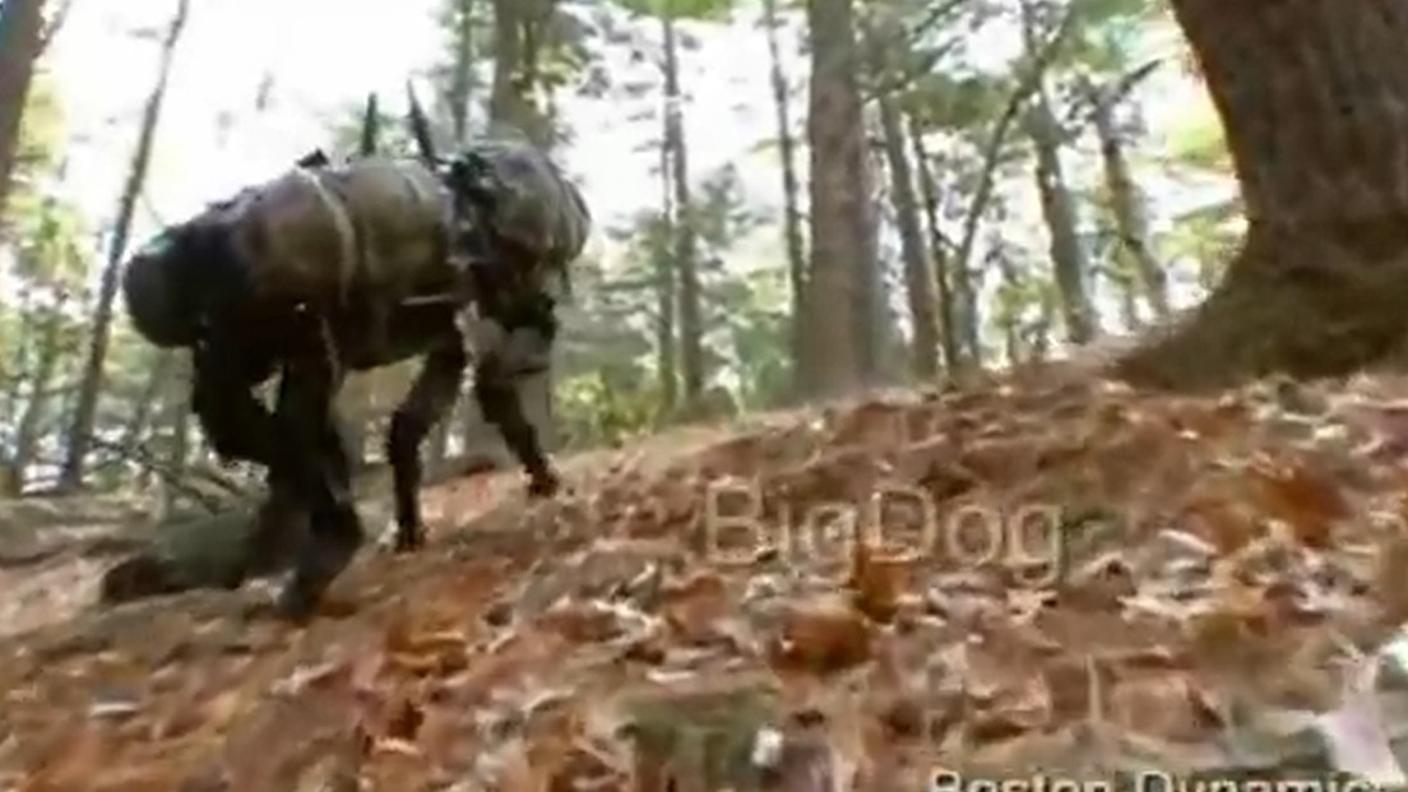 Il cane... artificiale