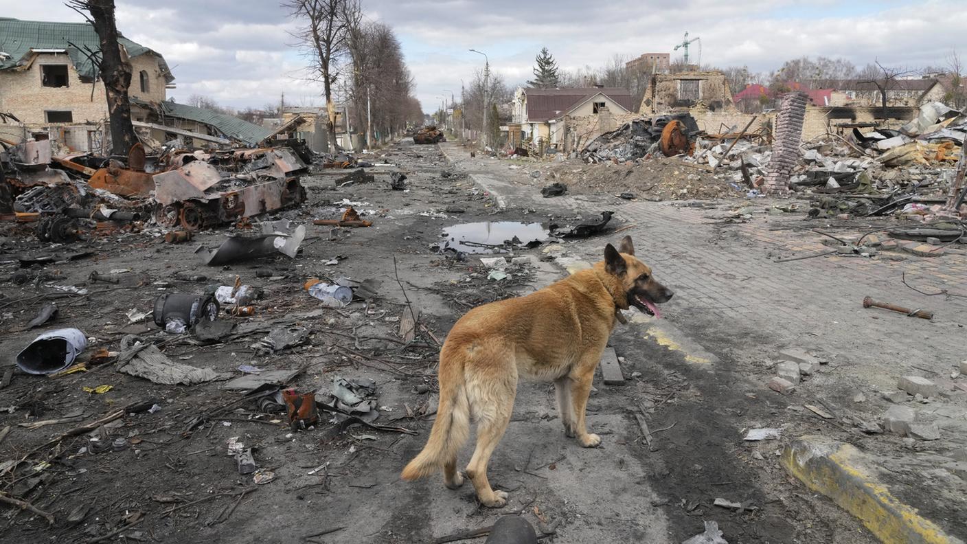 Le truppe russe si sono ritirate dall'oblast di Kiev