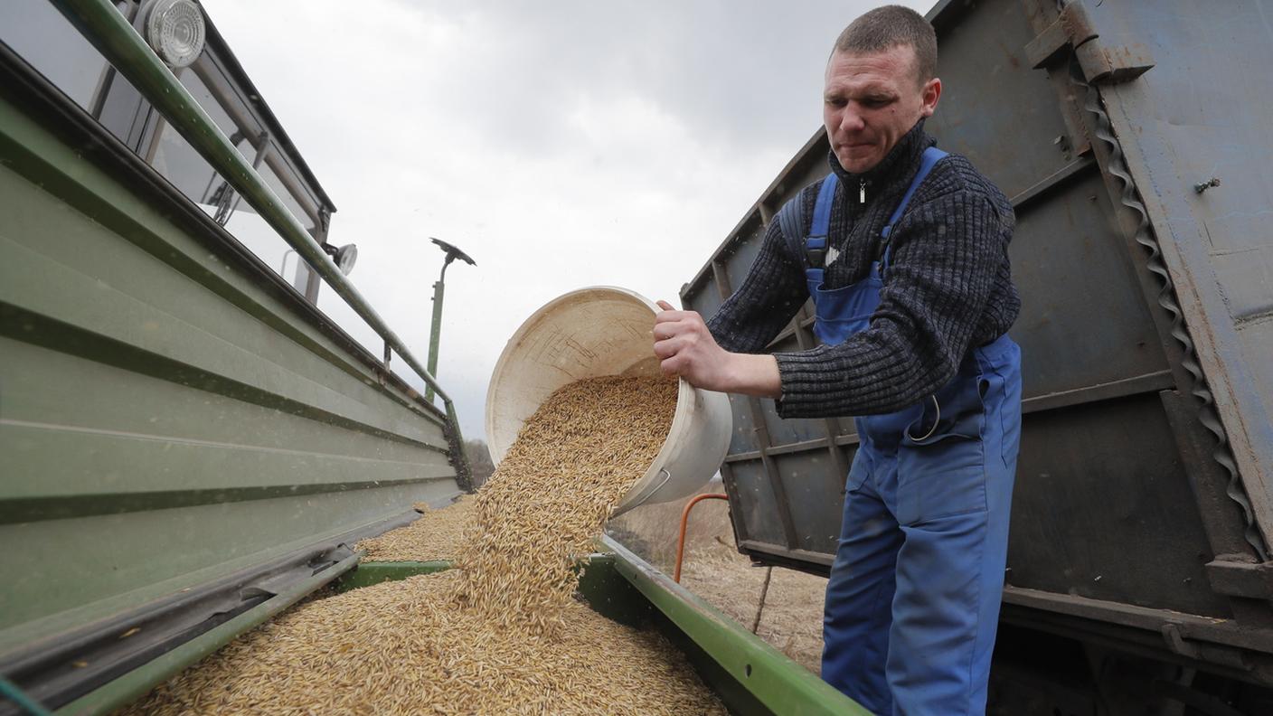 Benché invasa dai russi, l'Ucraina fornisce un'immensa quantità di cereali al mondo civile