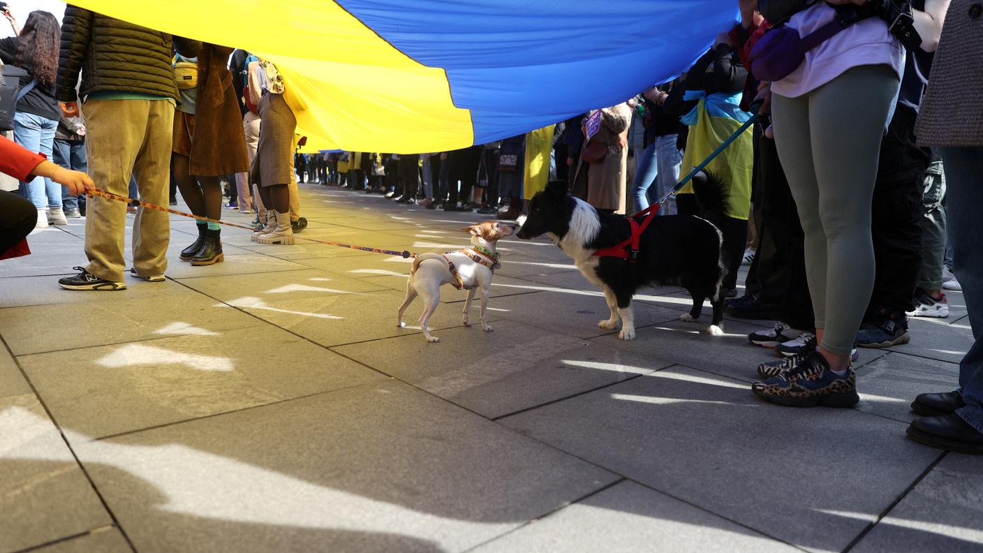 Anche a Belgrado la popolazione si è riunita per manifestare la sua solidarietà con l'Ucraina a un anno dell'invasione russa