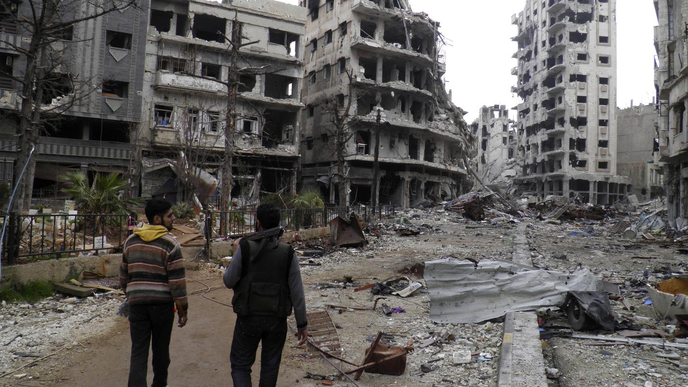 Homs martoriata 270114 RE.jpg