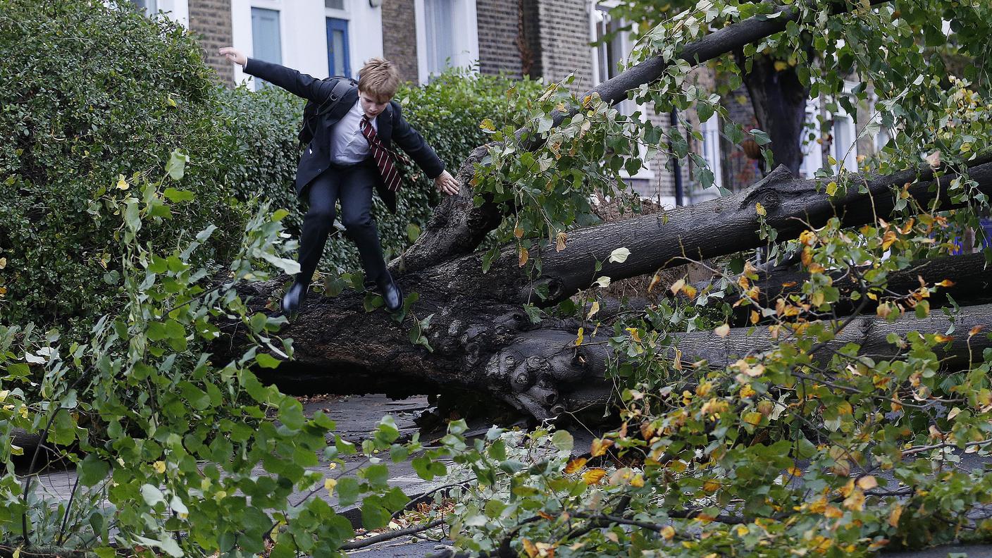 Alberi sradicati a Londra: per andare a scuola bisogan fare le acrobazie
