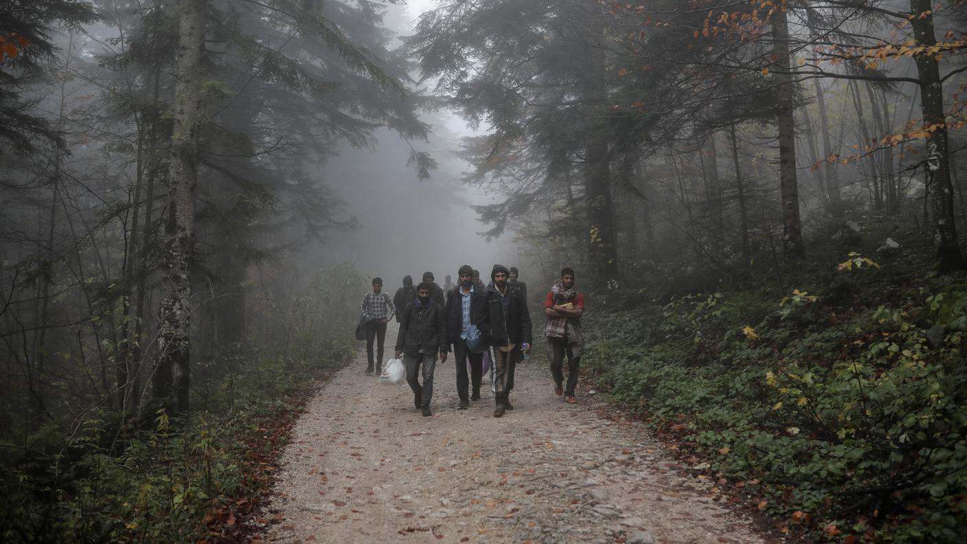 Migranti nei boschi vicino a Bihać